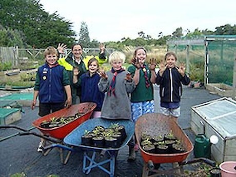 Woodlands scouts get their hands dirty at the nursery.