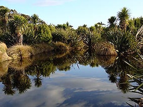 Created pond on Rance’s property.
