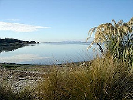 Sutton Lagoon, New River Estuary.