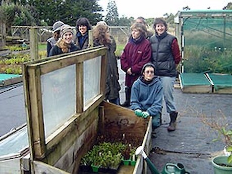 Cuttings frame.