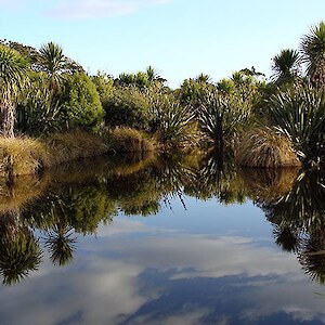 Created pond at Rances