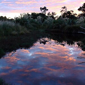 Early morning at Rances Pond