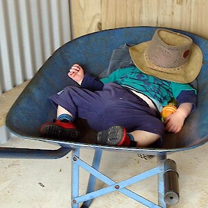 Liam - sleeping on the job