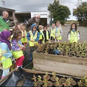 Looking at plants for wetlands and a pukeko!
