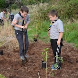 Georgetown Cubs planting native plants