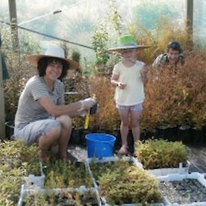 Weeding in the nursery
