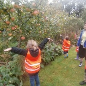 Surrey Park admiring the apples