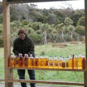 Linda does a count up of the produce