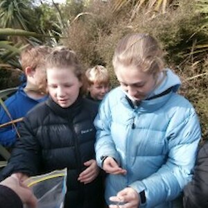 Seed collecting with James Hargest students