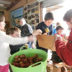 Apple pressing - fun for all ages!