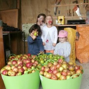 Scrumped apples from the side of the road!