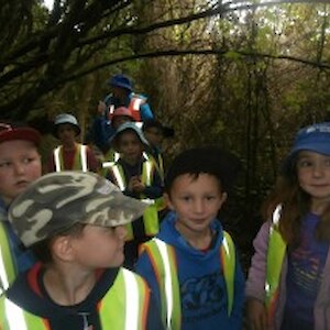 Limehills schollchildren under the tall forest
