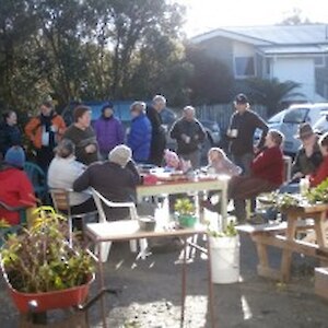 Cuttings Day 26 June 2013