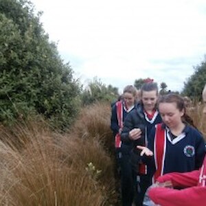 Seed collecting around the pond and bush tracks