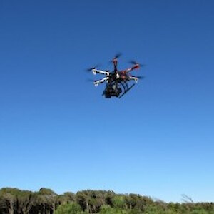The drone above the bush