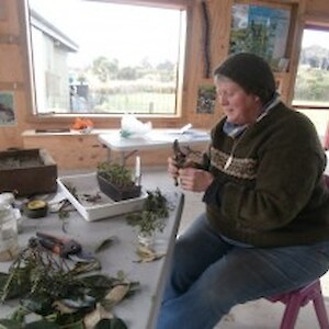 Linda demonstrating cuttings 13th June 2014