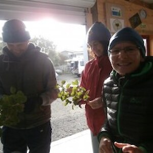 Miguel, Sabina and Beatty doing cuttings on 13th June 2014