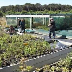 Lots of work being done in the nursery