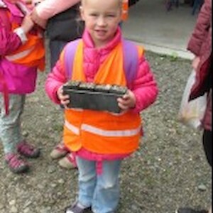 Seedlings potted by Waverley Kindy Kids