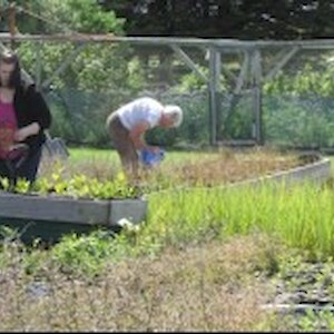 More nursery work even on break-up day!