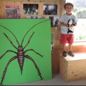 Not scared at all by the giant weta!