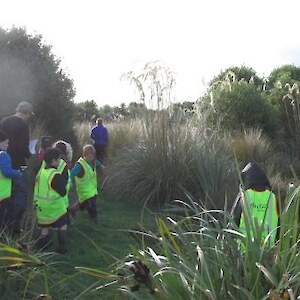Looking around the wetland