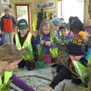 Designing a school nature area