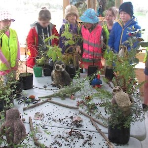 Designing a school nature area