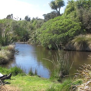 A better day for real field sketching at the pond
