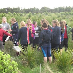 Measuring the plants in the plot