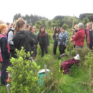 Measuring the plants in the plot
