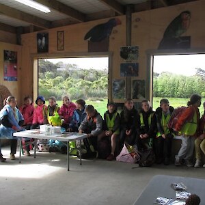 Class answers questions about kowhai