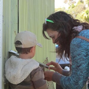 Discovering the starling chicks in the nest box