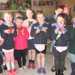 Potted up native seedlings