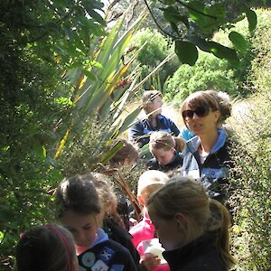 Identifying native Plants