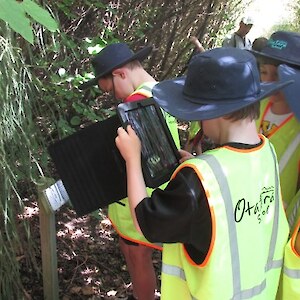 native plant factfiles