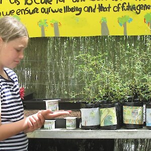 Lily explaining about kowhai seeds