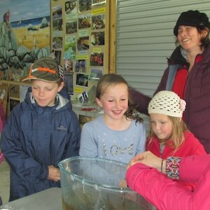 The koura nearly escapes!