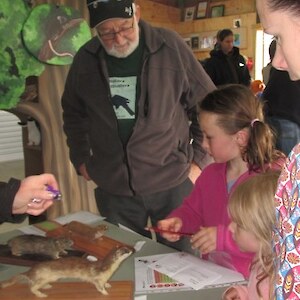 Can you guess which pest is which?