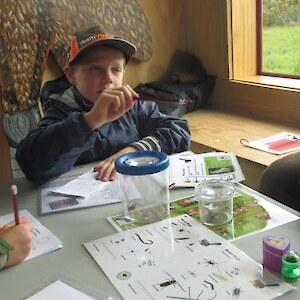 Which bugs can you spot?