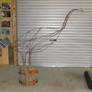 Moa frame designed and built by Ray Jackson