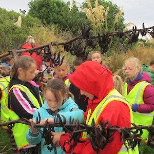 Rimu School collect flax seeds (before the thunderstorm)