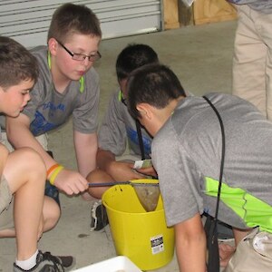 Takoma students examine the water insects
