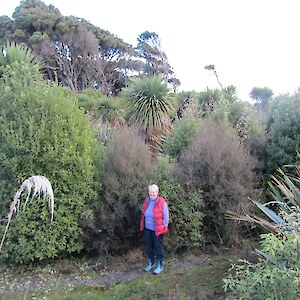 Monitoring Photo 2015