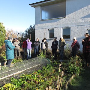 Discussions around the veggie gardens