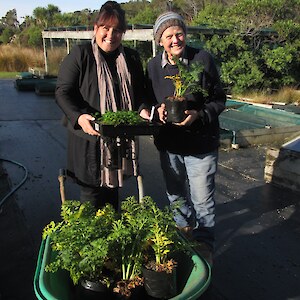Two very special women - Estelle and Linda (and some special plants)