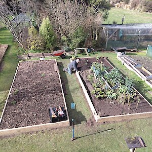 new macrocarpa veggie beds