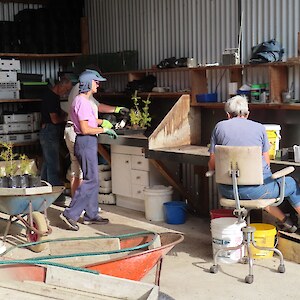 Potting