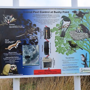 Bushy Point Pest Poster by Janet Hodgetts