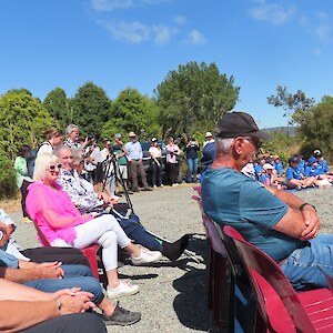 a good crowd